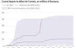 Les surfaces brûlées en France