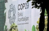 Le logo de la conférence sur le climat COP29 sur la façade d'un bâtiment en cours de rénovation à Bakou, le 11 septembre 2024 en Azerbaïdjan