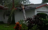 Un arbre qui s'est abattu sur une maison de Titusville, en Floride, le 7 octobre 2016, après le passage de l'ouragan Matthew