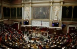 L\'Assemblée nationale