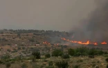 Incendie près de Bet Shemesh, dans le centre d'Israël, le 30 avril 2025