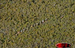 Images du Grand Raid 2003