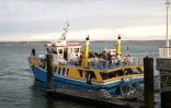 Un bateau évacuant des touristes et habitants de Lège-Cap-Ferret accoste à Arcachon, en Gironde, le 24 juillet 2026