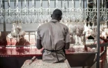 Un homme abat des poulets à Valentine Chicken Abattoir le 11 juillet 2017 au Nigeria