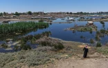 Un homme observe les dégats causés par les inondations dans la province syrienne de Raqqa, suite aux récentes crues de l'Euphrate, le 30 mai 2026