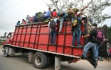Des migrants du Honduras forment une caravane Ă destination des Etats-Unis, le 15 janvier 2021 Ă Agua Caliente