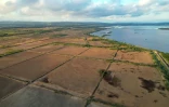 Vue aérienne de bassins de récolte de sel marin dans les marais salants abandonnés d'Ulcinj, le 2 juin 2026 au Monténégro