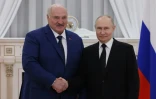 Le président russe Vladimir Poutine (d) et son homologue bélarusse, Alexandre Loukachenko, le 29 avril 2025 à Volgograd