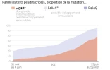 Evolution de la mutation L452R, portée notamment par le variant Delta, dans les tests positifs au Covid-19 criblés