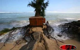 Dimanche 13 mai 2007 -

Une forte houle générant des vagues de 10 métres a déferlé sur les côres Ouest et Sud dévastant tout sur son passage