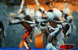 SAmedi 28 février 2004
Les danseurs de la compagnie &quot;Prince Ndabuko Creative Solutions&quot; du KwaZulu-Natal (Afrique du Sud) en spectacle à Stella Matutina