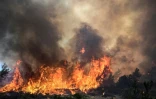 Un incendie de forêt près du village de Vati, sur l'île de Rhodes, le 25 juillet 2023 en Grèce