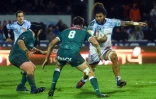 Le N.8 néo-zélandais de Bayonne Matthew Luamanu (d) contre Pau, le 9 novembre 2019 au stade Jean-Dauger de Bayonne