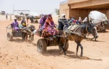 Des personnes arrivent en charrettes au poste-frontière d'Adré, au Tchad, le 8 juin 2026