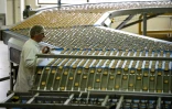 Chaîne de production de biscuits "petit beurre" dans une fabrique de la marque LU, à La Haye-Fouassière près de Nantes, le 26 avril 2016