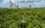 Une antenne mesure les indices d'humidité et de gaz carbonique dans la mangrove Juan Diaz, à Panama, le 14 mars 2022