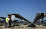 Un technicien travaille sur le site de la centrale photovoltaïque de Karavasta, le 4 octobre 2023 en Albanie