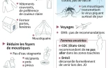 Comment se protéger du virus Zika