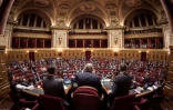 L'hémicycle du Sénat à Paris le 17 novembre 2016