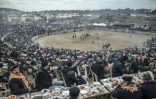 Des spectateurs installés à des tables piquent-niquent dans les gradins en assistant aux combats de chameaux à Selcuk, le 20 janvier 2019 en Turquie