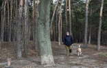 Oleksandr, se promène avec un golden retriever dans la forêt, près de Kiev le 13 février 2020 dans le cadre d'un traitement pour soigner le stress post traumatique