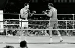 Mohamed Ali face à George Foreman lors du "combat du siècle" à Kinshasa, le 30 octobre 1974