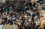 Des visiteurs se pressent au Salon de l'Agriculture à Paris le 25 février 2024