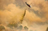 Un hélicoptère de lutte contre les incendies effectue un largage d'eau au-dessus du "Mountain Fire" à Camarillo, en Californie, le 6 novembre 2024