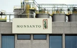 L'usine Monsanto à Lillo, près d'Anvers, le 24 mai 2016