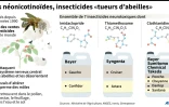Les néonicotinoïdes, insecticides "tueurs d'abeilles"
