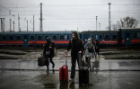 Hormis la Pologne où nombre des presque 3 millions de réfugiés ont décidé de rester, les Etats frontaliers de l'Ukraine sont souvent des pays de transit. Ici, au poste-frontière de Zahony en Hongrie le 9 avril 2022
