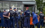 Des migrants attendent de monter dans un bus le 20 septembre 2015 à Nickelsdorf, petite commune autrichienne à la frontière avec la Hongrie