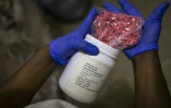 Un agent montre des comprimés rouges de tapentadol dans les locaux de l'Agence nationale de lutte contre la drogue (NDLEA) à Lagos, le 19 février 2026 au Nigeria