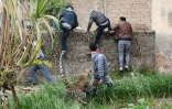 Des habitants grimpent sur un mur pour échapper à un léopard errant, dans le quartier de Lamba Pind, à Jalandhar, le 31 janvier 2019 en Inde