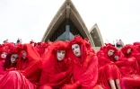 Des militants écologistes du groupe The Red Rebels participent à une manifestation pourle climat, le 15 décembre 2019 à Sydney