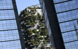 Un détail du complexe "Bosco Verticale", entre deux buildings de verre à Milan