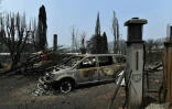 Voiture calcinée par un incendie à Batlow, dans l'Etat australien de Nouvelle-Galles du Sud, le 8 janvier 2020