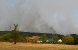 La fumée d'un incendie de forêt à Huertgenwald, dans l'ouest de l'Allemagne, le 14 août 2026