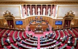 Ce délai étendu, qui existe déjà en matière de terrorisme, concernerait également les étrangers constituant "une menace d'une particulière gravité pour l'ordre public"