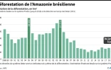 Déforestation de l'Amazonie brésilienne