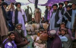 Des hommes rassemblés autour de sacs contenant de l'héroïne et du haschisch en vérifient la qualité, sur un marché à l'extérieur de Kandahar, en Afghanistan, le 24 septembre 2021
