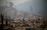 Des maisons brûlées à Santa Olga, au Chili, le 26 janvier 2017