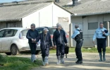 Des inspecteurs de la Direction départementale de la protection des populationsquittent un élevage de porcs à Pouldreuzic dans le Finistère, le 15 mars 2016