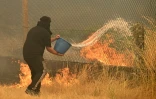 Un habitant tente de lutter contre un incendie de forêt avec un seau, dans le village de Santa Baia de Montes, province d'Ourense, dans le nord-ouest de l'Espagne, le 14 août 2025