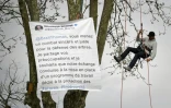 Thomas Brail, fondateur du Groupe national de surveillance des arbres (GNSA), accroche sur un platane un tweet d'Elisabeth Borne de 2020 saluant son "combat sincère et juste pour la défense des arbres" à l'entrée du village de Vendine, le 10 avril 2023 en Haute-Garonne