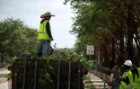 Des jardiniers remplissent un camion de branches d'arbres en pleine vague de chaleur Ă Houston, au Texas, le 14 juillet 2023