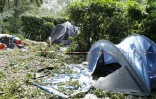 Dans le camping de Sagone, en Corse, où la chute d'un arbre sur un bungalow a tué une adolescente de 13 ans, le 18 août 2022