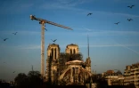 Une grue au-dessus du chantier de reconstruction de Notre-Dame de Paris, le 6 janvier 2020