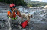Un secouriste avec un chien de sauvetage sur les rives de la rivière Trishuli dans le district de Nuwakot, au Népal, où ils recherchent des disparus le 30 septembre 2026