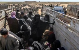 Des milliers d'hommes, femmes et enfants fuient le dernier bastion du groupe Etat islamique (EI) à Baghouz, dans l'est de la Syrie, le 6 mars 2019 